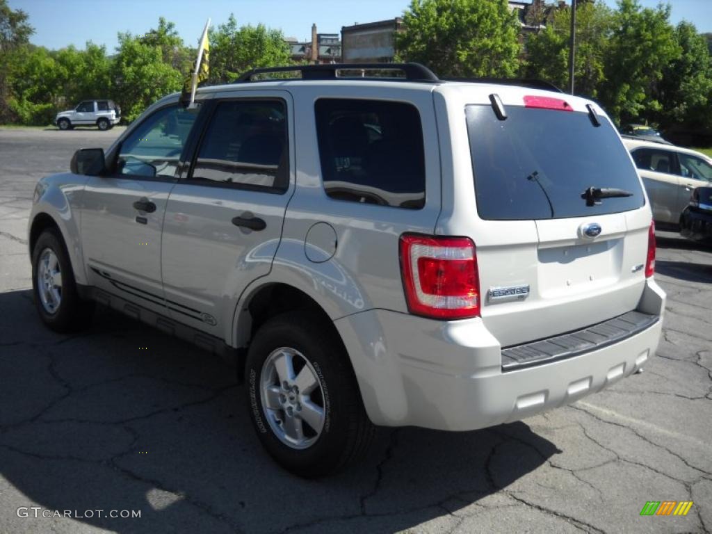 2009 Escape XLT V6 4WD - Light Sage Metallic / Stone photo #4