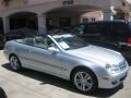 Diamond Silver Metallic - CLK 350 Cabriolet Photo No. 22