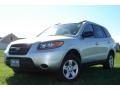 Bright Silver - Santa Fe GLS 4WD Photo No. 1