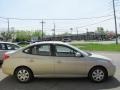 Laguna Sand Metallic - Elantra GLS Sedan Photo No. 11