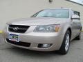 Golden Beige - Sonata GLS V6 Photo No. 1