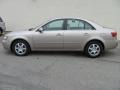 Golden Beige - Sonata GLS V6 Photo No. 10