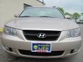 Golden Beige - Sonata GLS V6 Photo No. 11