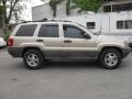 1999 Champagne Pearl Jeep Grand Cherokee Laredo 4x4  photo #8