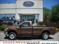 2011 Golden Bronze Metallic Ford F250 Super Duty XLT Regular Cab 4x4  photo #1