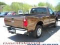 Golden Bronze Metallic - F250 Super Duty XLT Regular Cab 4x4 Photo No. 6
