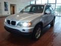 Titanium Silver Metallic - X5 3.0i Photo No. 1