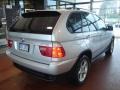 Titanium Silver Metallic - X5 3.0i Photo No. 5