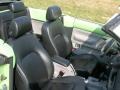 Cyber Green Metallic - New Beetle GLS Convertible Photo No. 8
