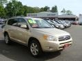 2006 Beige Metallic Toyota RAV4 Limited 4WD  photo #3