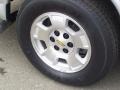 Sheer Silver Metallic - Express LT 1500 AWD Passenger Van Photo No. 20
