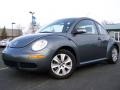 Platinum Grey - New Beetle S Coupe Photo No. 1