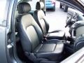 Platinum Grey - New Beetle S Coupe Photo No. 10