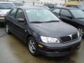 Labrador Black Pearl 2002 Mitsubishi Lancer Gallery