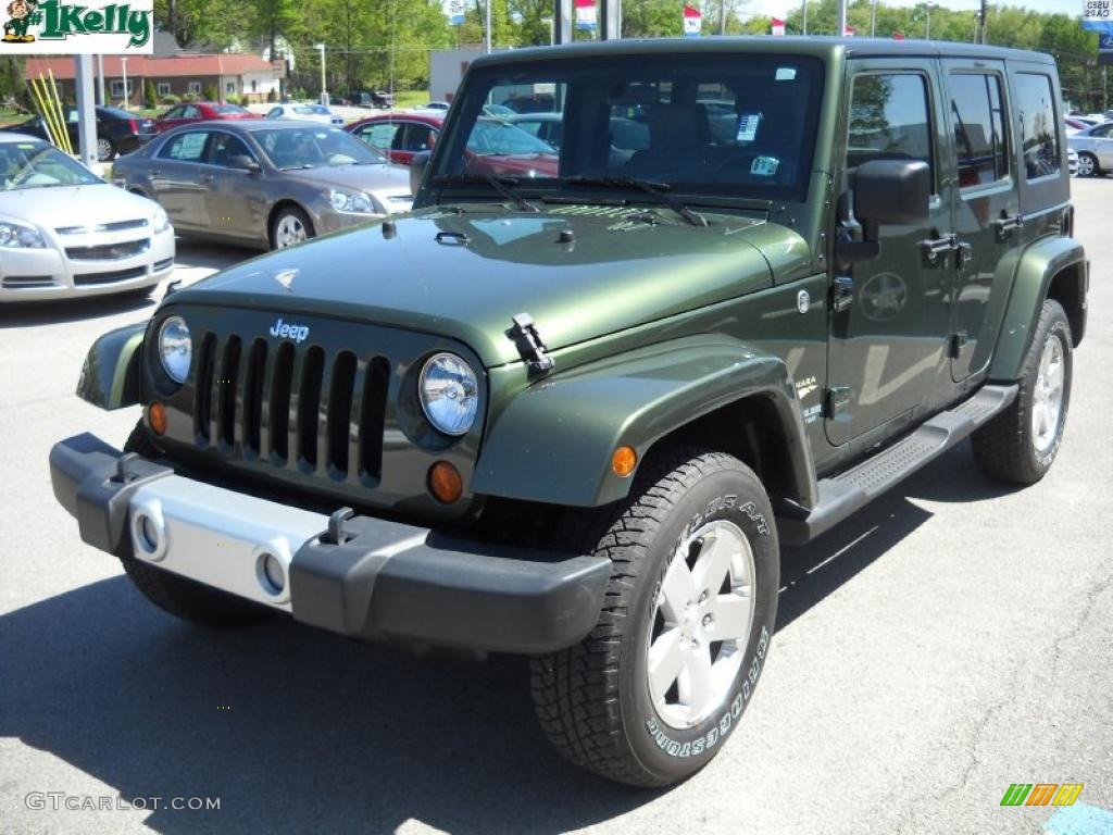 2008 Wrangler Unlimited Sahara 4x4 - Jeep Green Metallic / Dark Slate Gray/Med Slate Gray photo #14