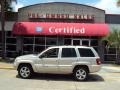 Light Pewter Metallic 2004 Jeep Grand Cherokee Limited