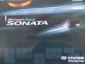 Bright Silver - Sonata GLS Photo No. 10
