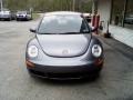 Platinum Grey - New Beetle 2.5 Coupe Photo No. 3