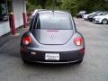 Platinum Grey - New Beetle 2.5 Coupe Photo No. 6