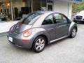 Platinum Grey - New Beetle 2.5 Coupe Photo No. 7