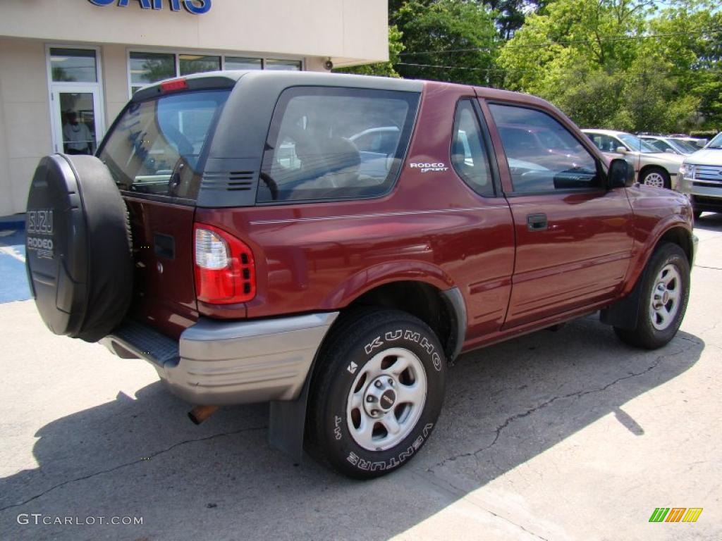 2002 Rodeo S - Currant Red Mica / Gray photo #8