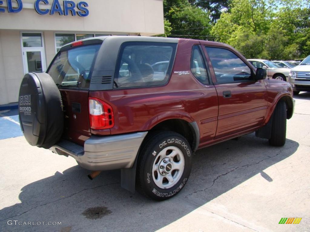 2002 Rodeo S - Currant Red Mica / Gray photo #28