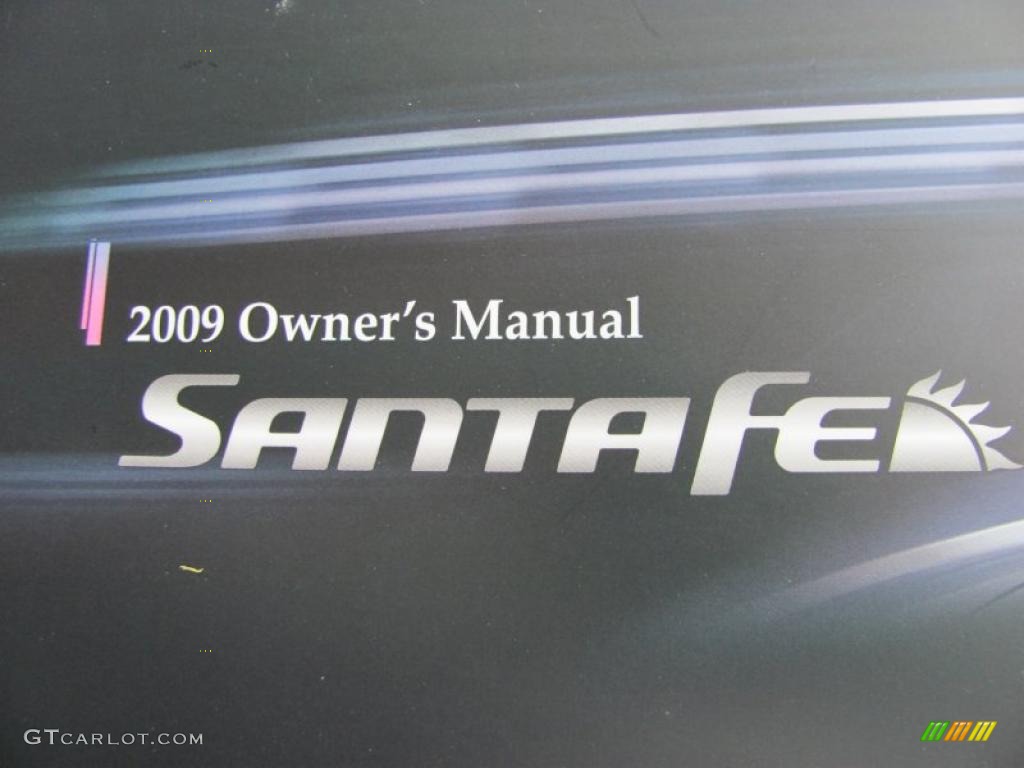 2009 Santa Fe GLS 4WD - Slate Blue / Gray photo #11