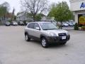 Sahara Silver - Tucson GLS V6 4x4 Photo No. 2