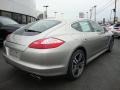 Platinum Silver Metallic - Panamera 4S Photo No. 7