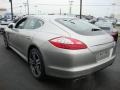 Platinum Silver Metallic - Panamera 4S Photo No. 9