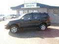 Black Onyx - GX 470 Photo No. 3