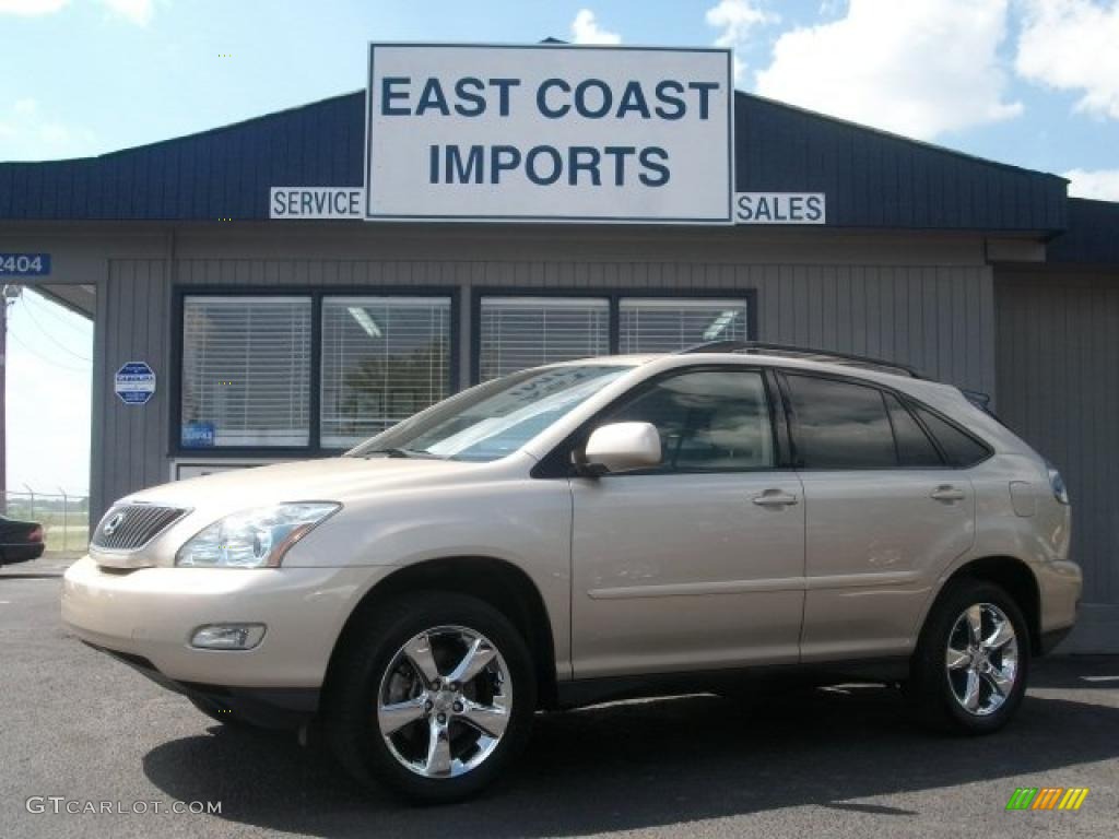 Savannah Metallic Lexus RX