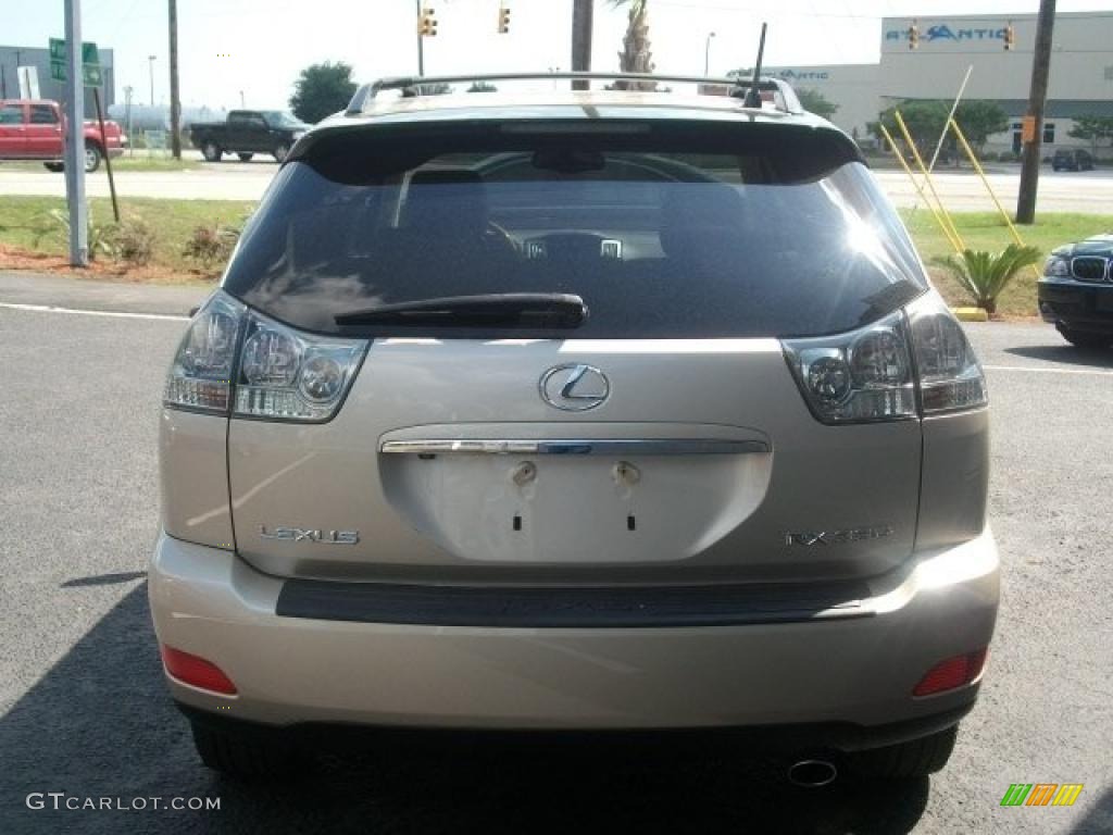 2006 RX 330 - Savannah Metallic / Ivory photo #4