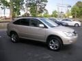 Savannah Metallic - RX 330 Photo No. 5