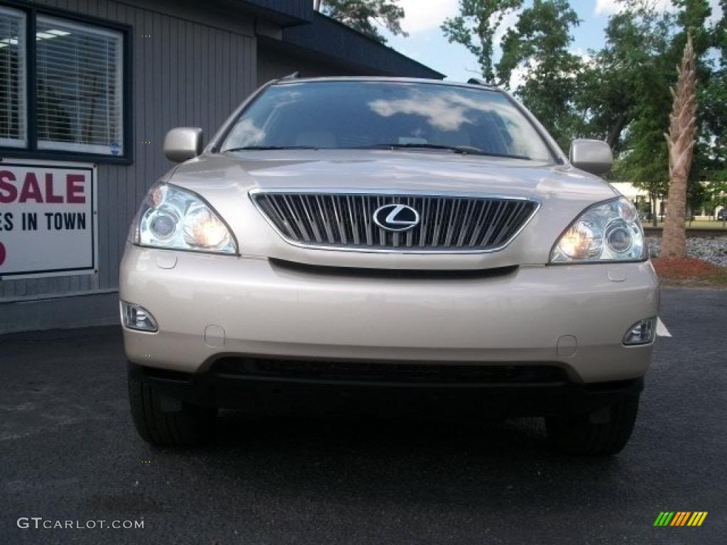 2006 RX 330 - Savannah Metallic / Ivory photo #6