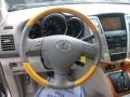 Savannah Metallic - RX 330 Photo No. 28
