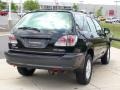 Black Onyx - RX 300 Photo No. 7