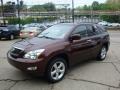 2008 Brandywine Mica Lexus RX 350 AWD  photo #5