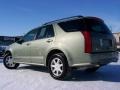 Silver Green Metallic - SRX V6 Photo No. 6