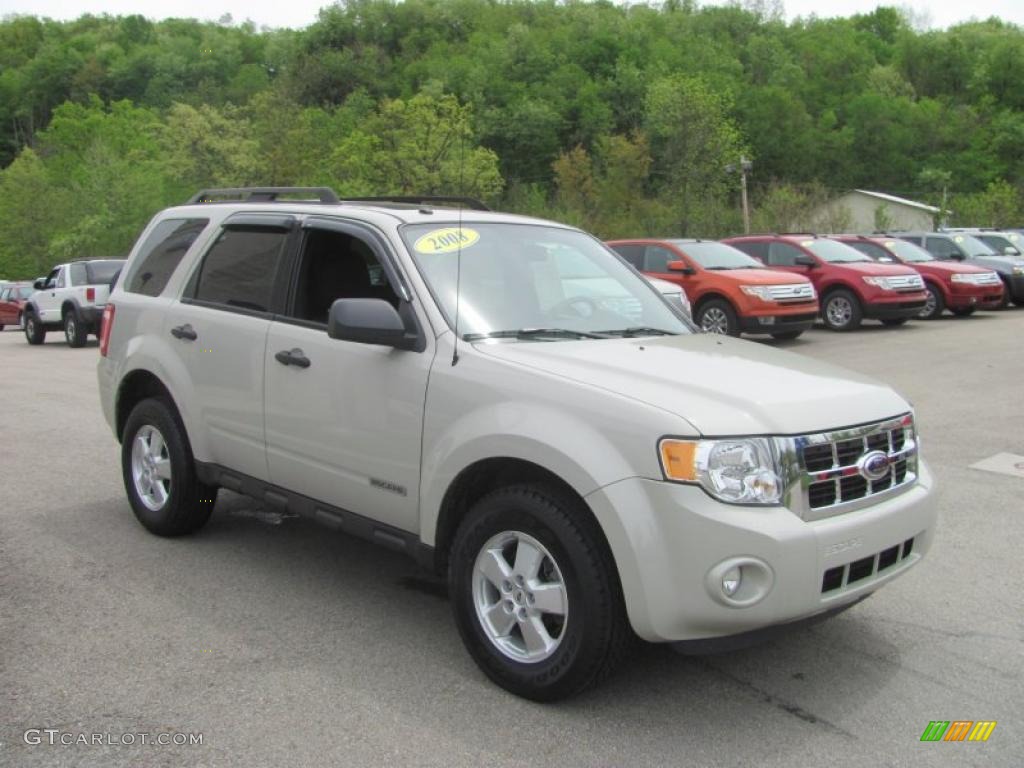 2008 Escape XLT - Light Sage Metallic / Charcoal photo #5