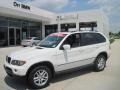 Alpine White - X5 3.0i Photo No. 1