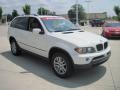 Alpine White - X5 3.0i Photo No. 2