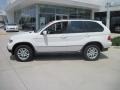 Alpine White - X5 3.0i Photo No. 3