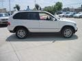 Alpine White - X5 3.0i Photo No. 4