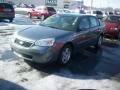 2006 Medium Gray Metallic Chevrolet Malibu LT V6 Sedan  photo #1