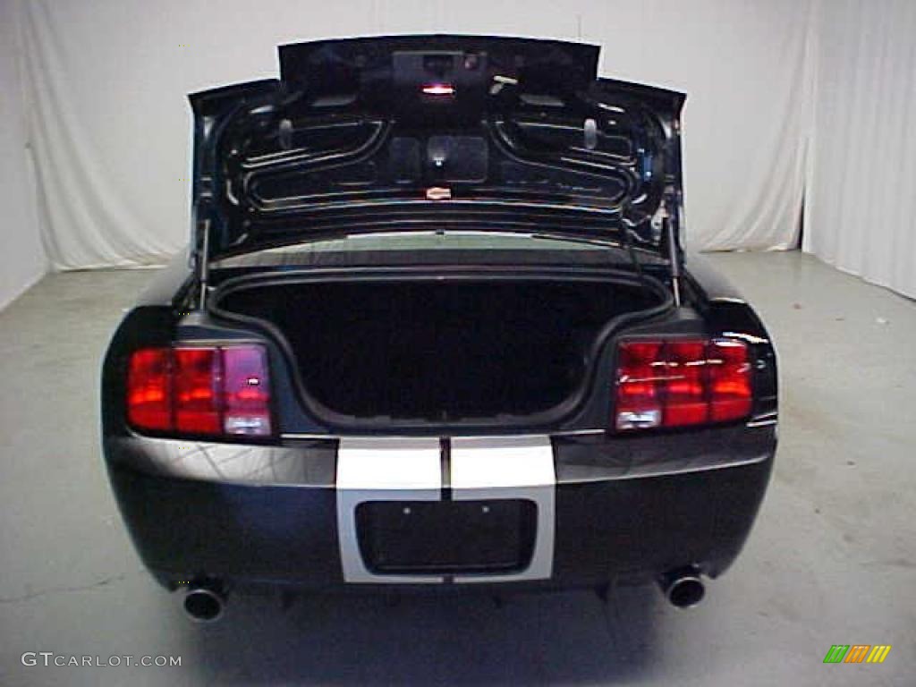 2007 Mustang GT Premium Coupe - Black / Light Graphite photo #18