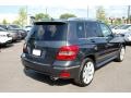Steel Grey Metallic - GLK 350 Photo No. 16