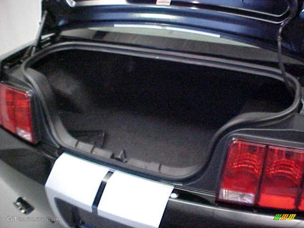 2007 Mustang GT Premium Coupe - Black / Light Graphite photo #19