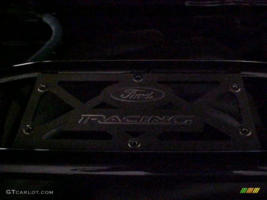 2007 Mustang GT Premium Coupe - Black / Light Graphite photo #25