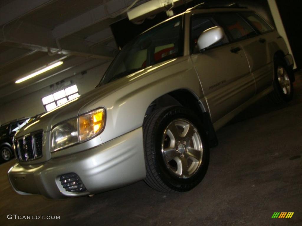 Silverthorn Metallic Subaru Forester